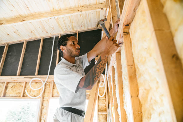 Best Attic Insulation Installation  in Crainvle, IL